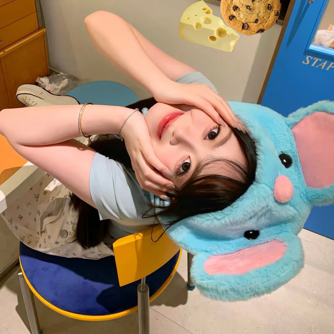 马柔本宅秘事